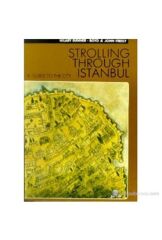Strolling Through Istanbul A Guide To The City